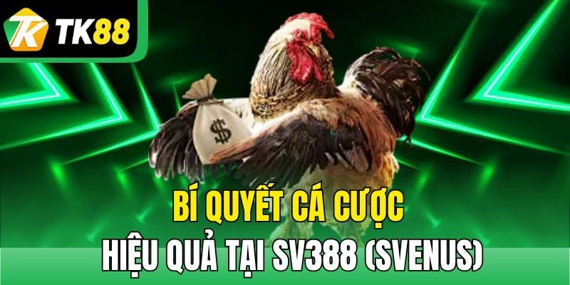 SV388 (Svenus) – Điểm Đến Lý Tưởng Dành Cho Hội Viên TK88