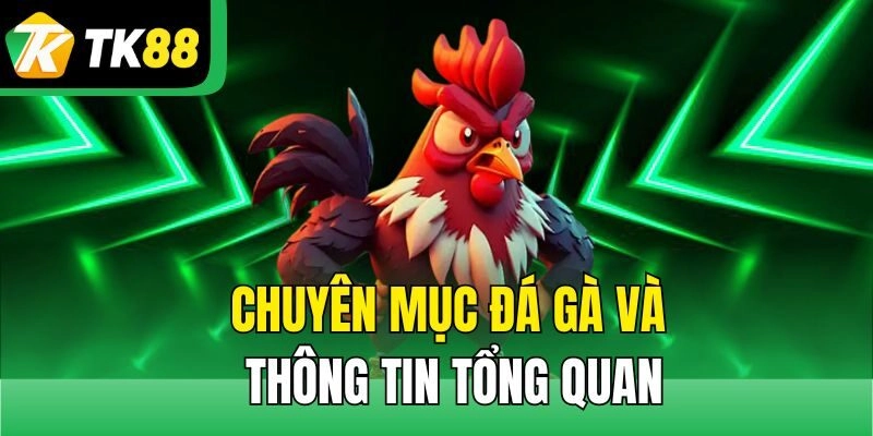 Chuyên mục đá gà và thông tin tổng quan