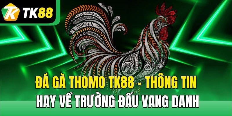 Đá Gà Thomo TK88 – Thông Tin Hay Về Trường Đấu Vang Danh