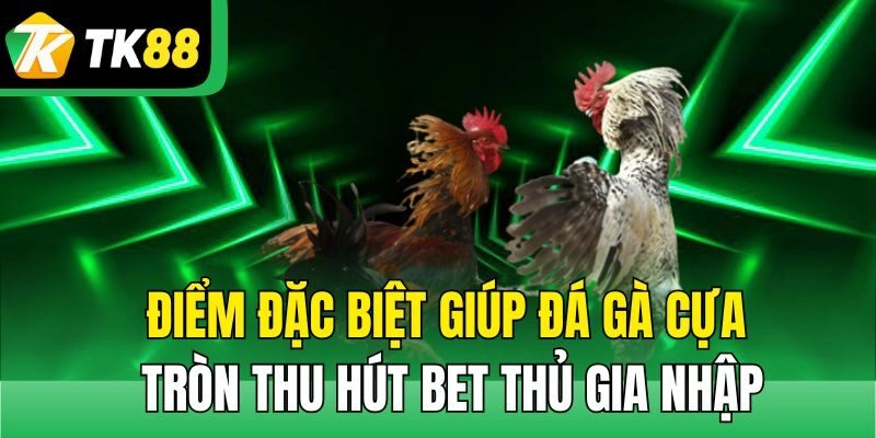 Điểm đặc biệt giúp đá gà cựa tròn thu hút bet thủ gia nhập