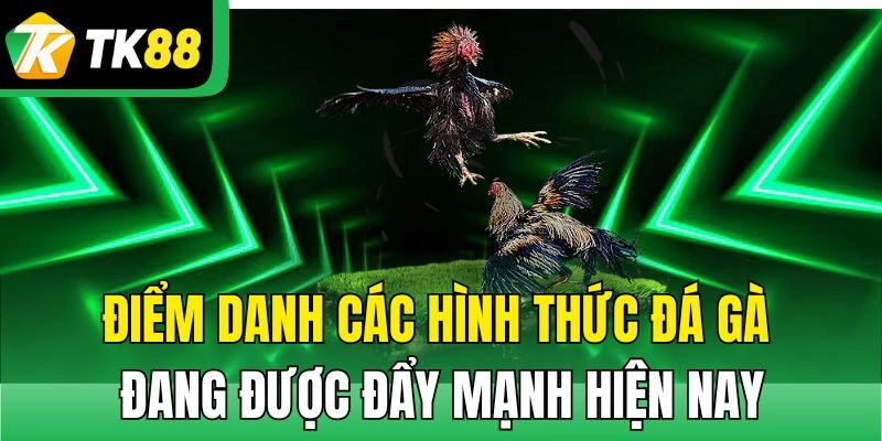 Điểm danh các hình thức đá gà đang được đẩy mạnh hiện nay