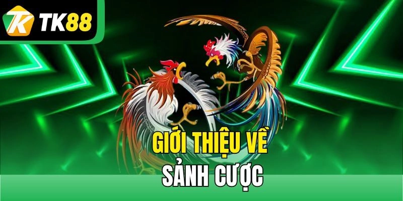 Giới thiệu về sảnh cược