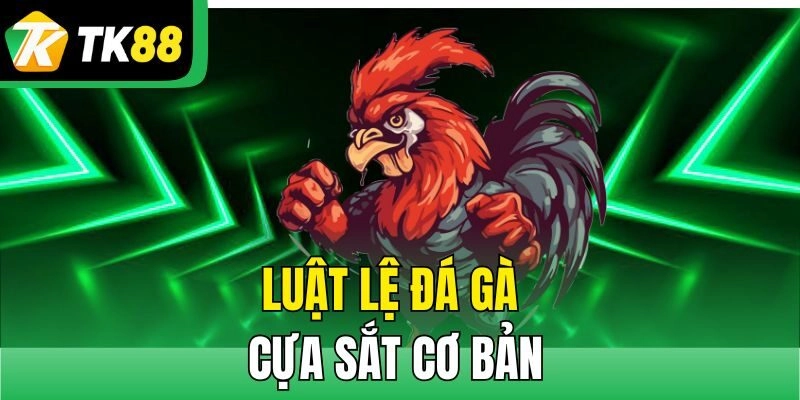 Lập kế hoạch chơi đá gà cựa sắt
