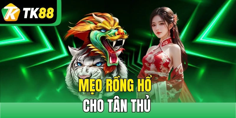 Mẹo Rồng Hổ cho tân thủ