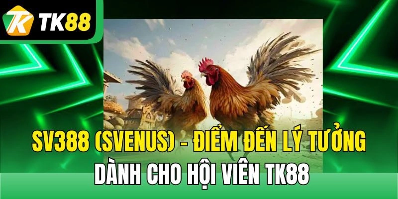 SV388 (Svenus) - Sảnh chọi kê hàng đầu