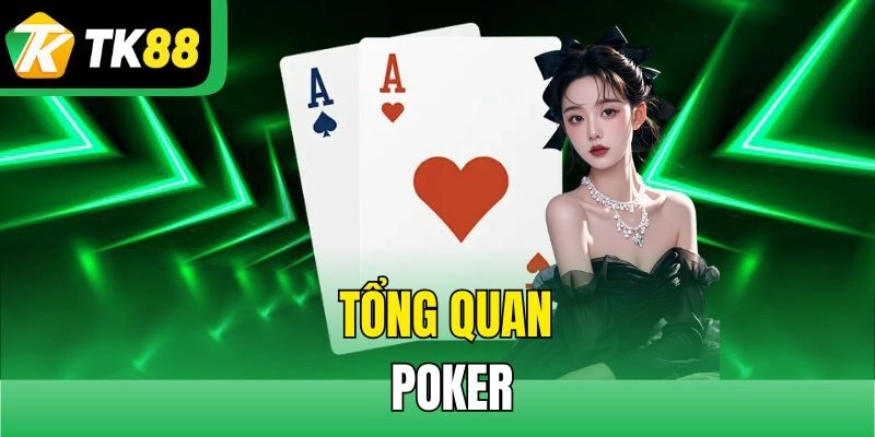 Tổng quan poker
