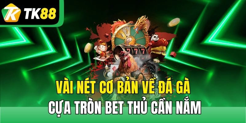Vài nét cơ bản về đá gà cựa tròn bet thủ cần nắm