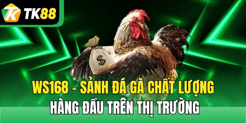 Ws168 – Sảnh Đá Gà Chất Lượng Hàng Đầu Trên Thị Trường